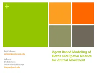 Agent Based Modeling of Animal Movement Mechanisms