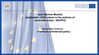 EU Common Commercial Policy Overview