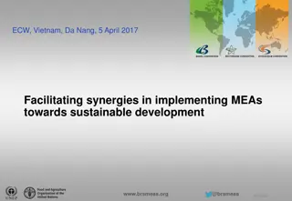 Achieving Synergies for Sustainable Development through MEAs Implementation