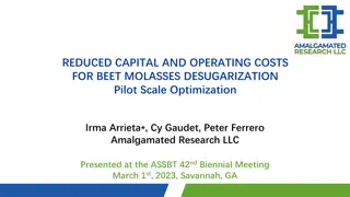 Reduced Costs for Beet Molasses Desugarization Optimization