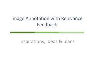 Image Annotation with Relevance Feedback Insights