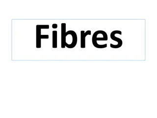 Fibres: Classification, Identification, and Characteristics