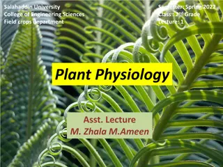 Plant Physiology and Solutions in Field Crops