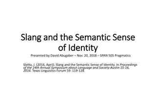 Slang and Identity: A Pragmatic Perspective