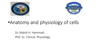 Anatomy and Physiology of cells