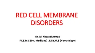 Hereditary Spherocytosis and Red Cell Membrane Disorders