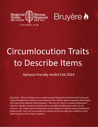 Aphasia-Friendly Toolkit for Describing Items - Traits, Shapes, Colors, Sizes & More