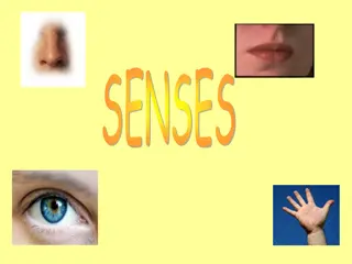 The Senses and Nervous System