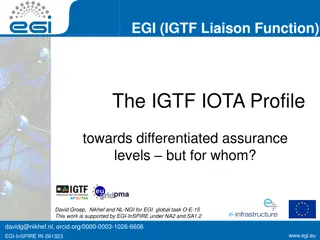 Differentiated Assurance Levels in EGI: A Deep Dive into Identity Assurance