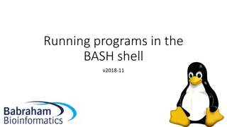 Running Programs in Linux: Shells, Commands, and Tools