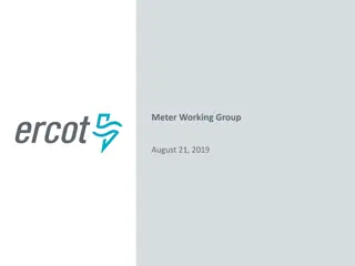 ERCOT Meter Working Group Meeting Highlights
