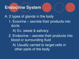 The Endocrine System and Hormones