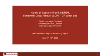 Networking Workshop: Hands-on Session with iPerf3, NETEM, Bandwidth-Delay Product
