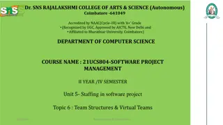 Team Structures & Virtual Teams in Software Projects