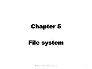 File Systems: A Comprehensive Overview at Ambo University