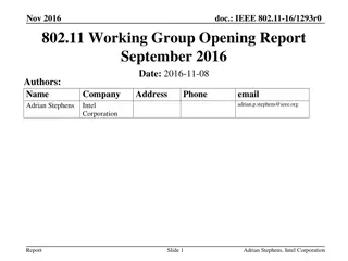 IEEE 802.11 Working Group Opening Report