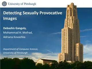 Detecting Sexually Provocative Images in Visual Data