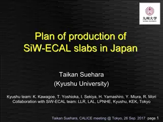 Production Plan for SiW-ECAL Slabs in Japan by Kyushu Team