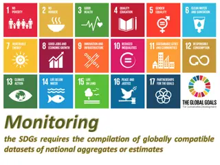Challenges and Strategy for SDGs Monitoring