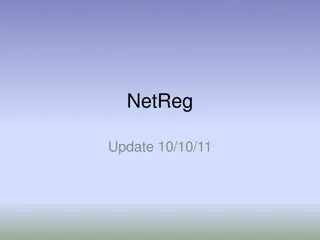 NetReg Update Project Status and Design Choices