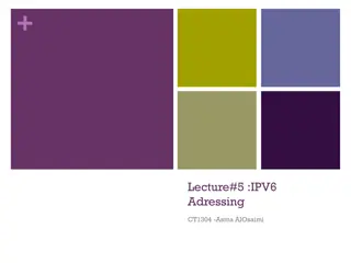IPv6 Addressing and Coexistence Strategies
