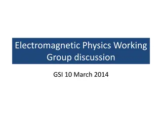 Electromagnetic Physics Working Group Discussion at GSI March 2014