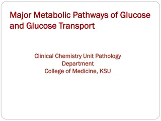 The Major Metabolic Pathways of Glucose in Clinical Chemistry