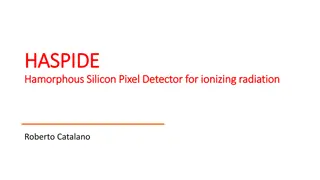 Innovative Project: HASPIDE - Silicon Pixel Detector for Radiation