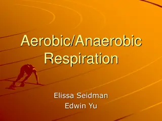 Aerobic and Anaerobic Respiration in Living Organisms