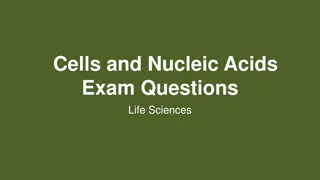 Nucleic Acids and Cells Exam Questions in Life Sciences
