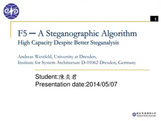 Steganographic Algorithm F5: High Capacity Steganalysis by Andreas Westfeld