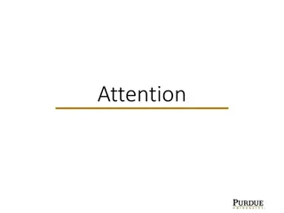 Enhancing Neural Networks with Soft Attention Mechanism