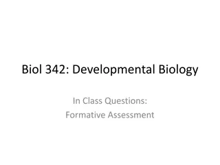 Developmental Biology Class Questions: Formative Assessment Insights