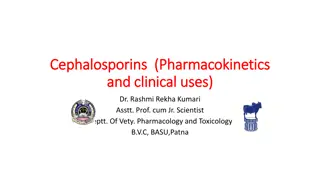 Cephalosporins: Pharmacokinetics and Clinical Uses