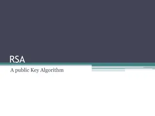 RSA Public Key Algorithm