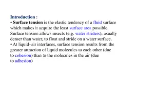 Surface Tension in Fluids