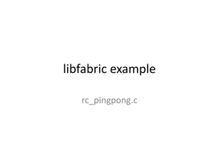 libfabric Initialization Process for Efficient Communication