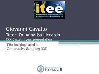 THz Imaging Based on Compressive Sampling