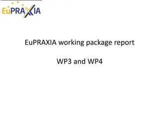 EuPRAXIA Working Package Report: High Gradient Laser Plasma Accelerating Structure