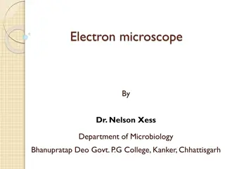 Advanced Application of Electron Microscopes in Microbiology