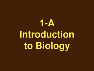 Characteristics of Living Organisms in Biology