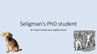 Challenges Faced by PhD Students: Mental Health and Academic Struggles