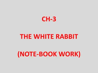 New Words and Sentences from The White Rabbit Adventure