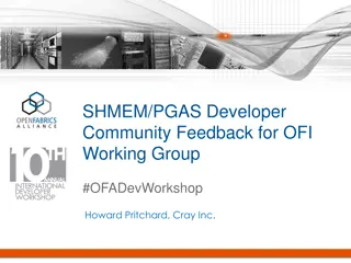 SHMEM/PGAS Developer Community Feedback on OFI Working Group from #OFADevWorkshop