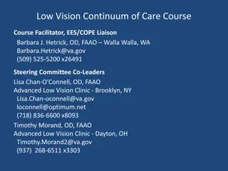 Low Vision Continuum of Care Course Project Overview
