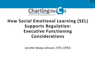 SEL for Regulation: Executive Functioning Insights