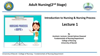 Nursing Roles and Aims at University of Basrah College of Nursing