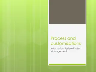 Customizable Information System Project Management Overview