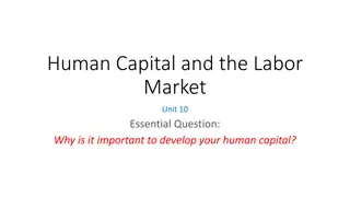 Importance of Developing Human Capital in Labor Market
