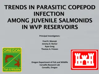 Parasitic Copepod Infection Trends Among Juvenile Salmonids in WVP Reservoirs